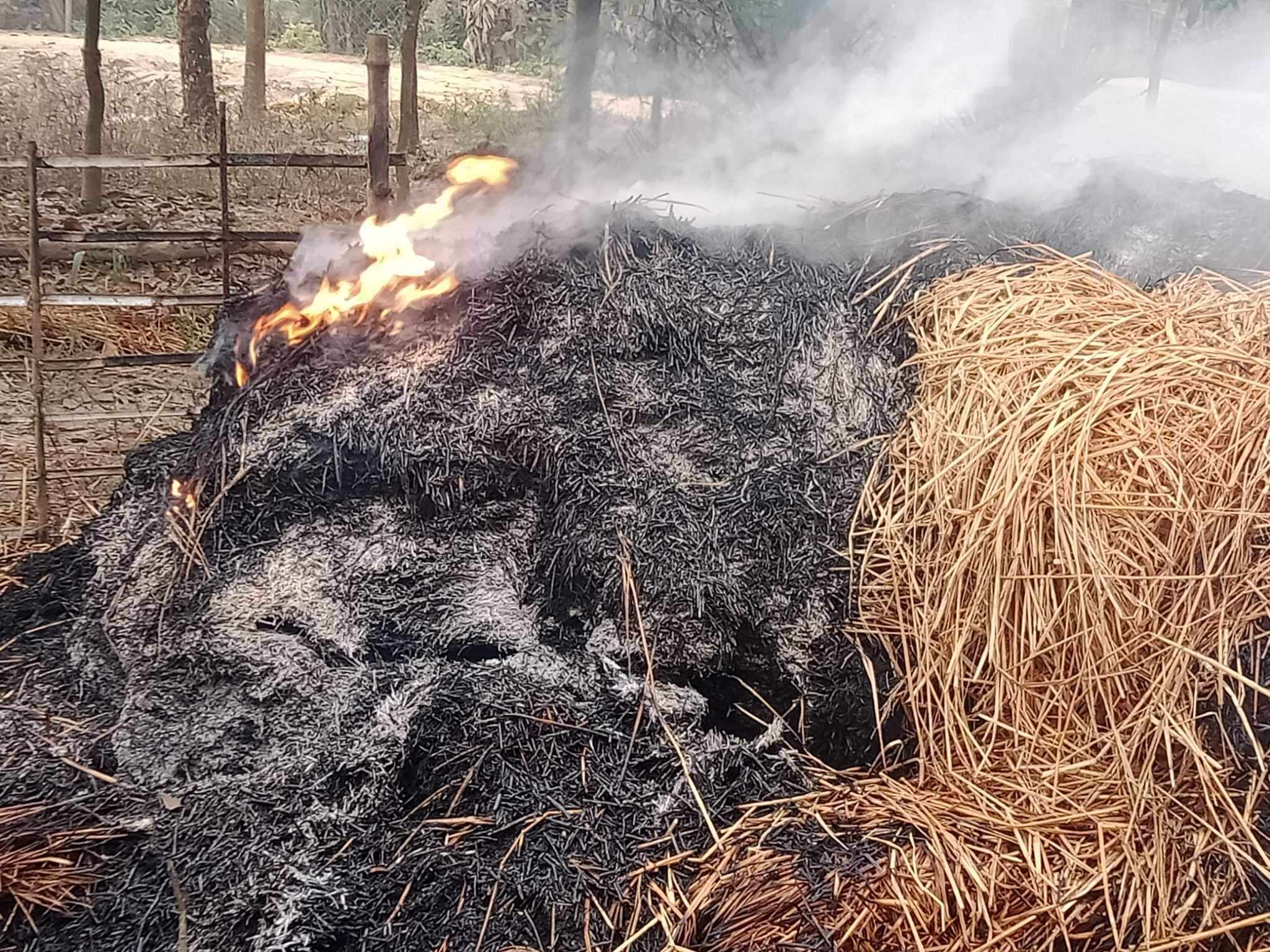 সাপাহারে পূর্ব শত্রুতার জের ধরে আগুন লাগিয়ে ক্ষতিসাধন