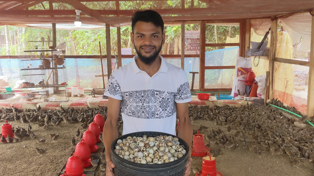 পটুয়াখালীতে কোয়েল পালনে নাহিদের বাজিমাত