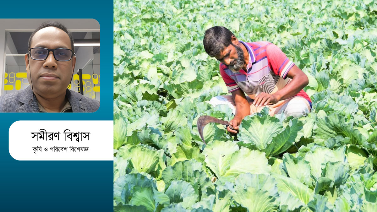 সবজির ভালো ফলনেও কৃষক ক্ষতিগ্রস্ত, কেন?